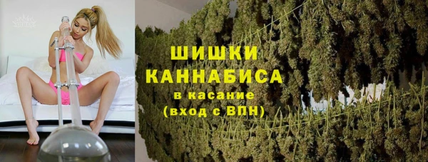 ПСИЛОЦИБИНОВЫЕ ГРИБЫ Вязники