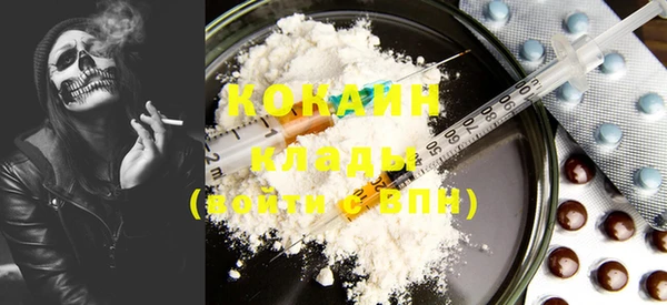 ПСИЛОЦИБИНОВЫЕ ГРИБЫ Вязники