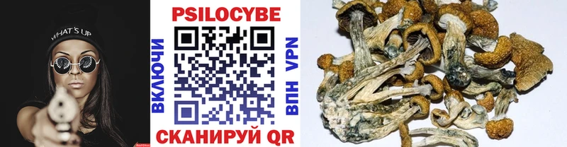 Галлюциногенные грибы ЛСД  Дюртюли 